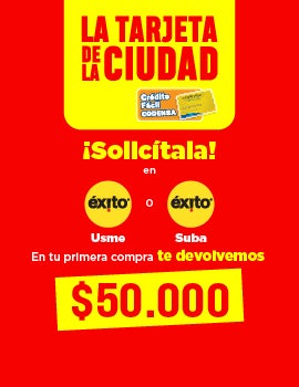 Éxito Usme y Suba
